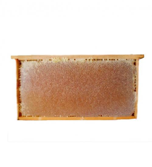 Erzincan Petek Balı 1000gr